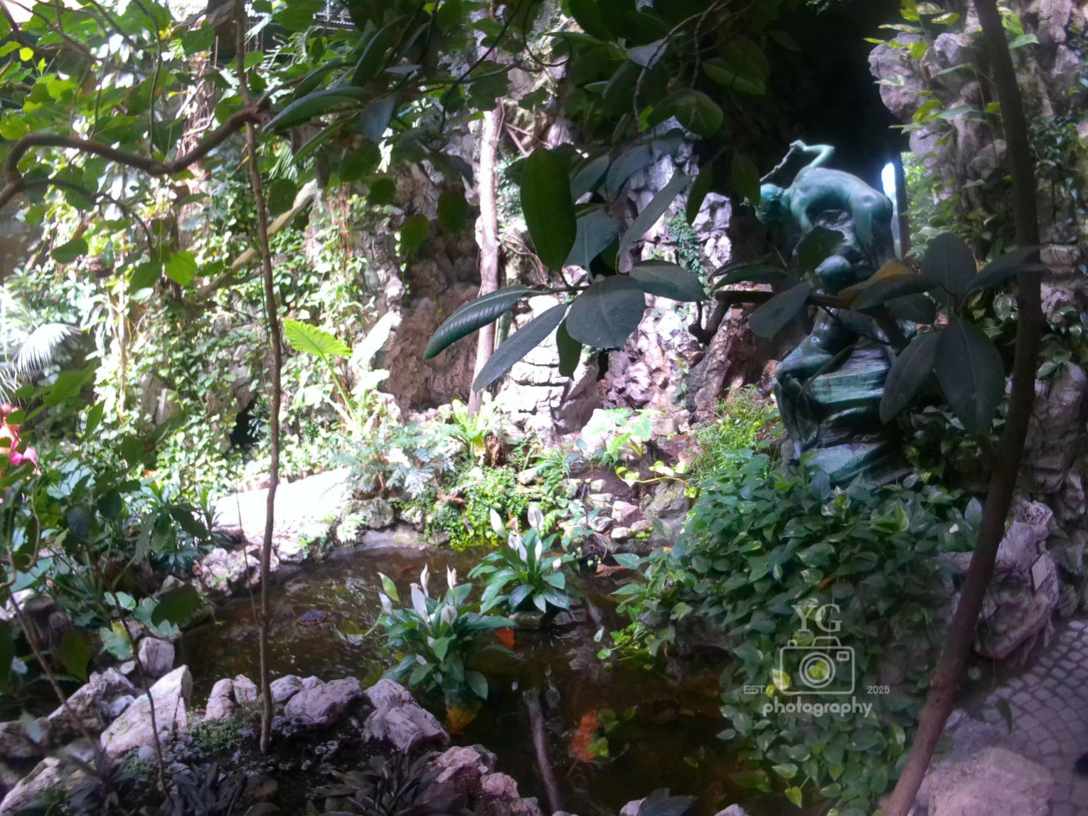 Foto 6